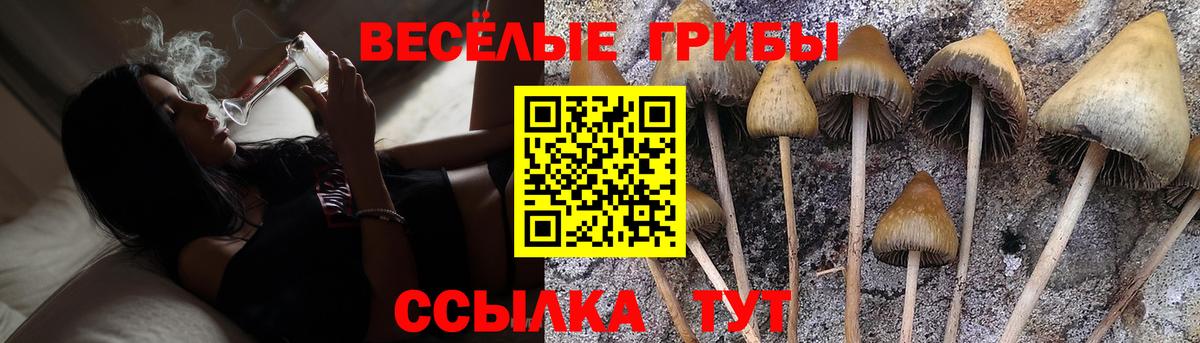 Галлюциногенные грибы GOLDEN TEACHER  Вход с VPN  Надым  Псилоцибиновые грибы Magic Shrooms 